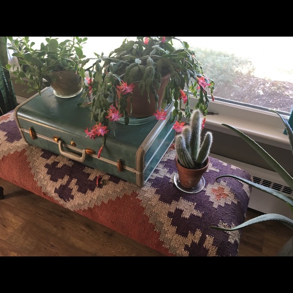 Meet your Posher, Mckenna - Picture 1 of 1